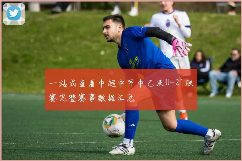 一站式查看中超中甲中乙及U-21联赛完整赛事数据汇总