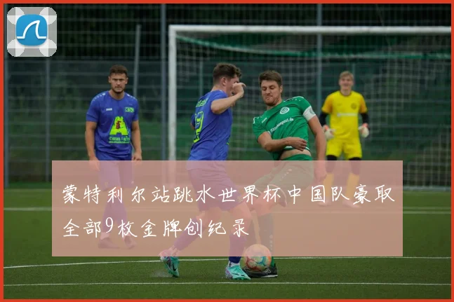 蒙特利尔站跳水世界杯中国队豪取全部9枚金牌创纪录