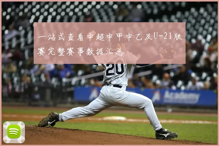 一站式查看中超中甲中乙及U-21联赛完整赛事数据汇总